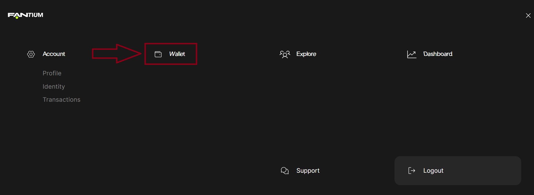 Step 2.2: Click on the wallet page.